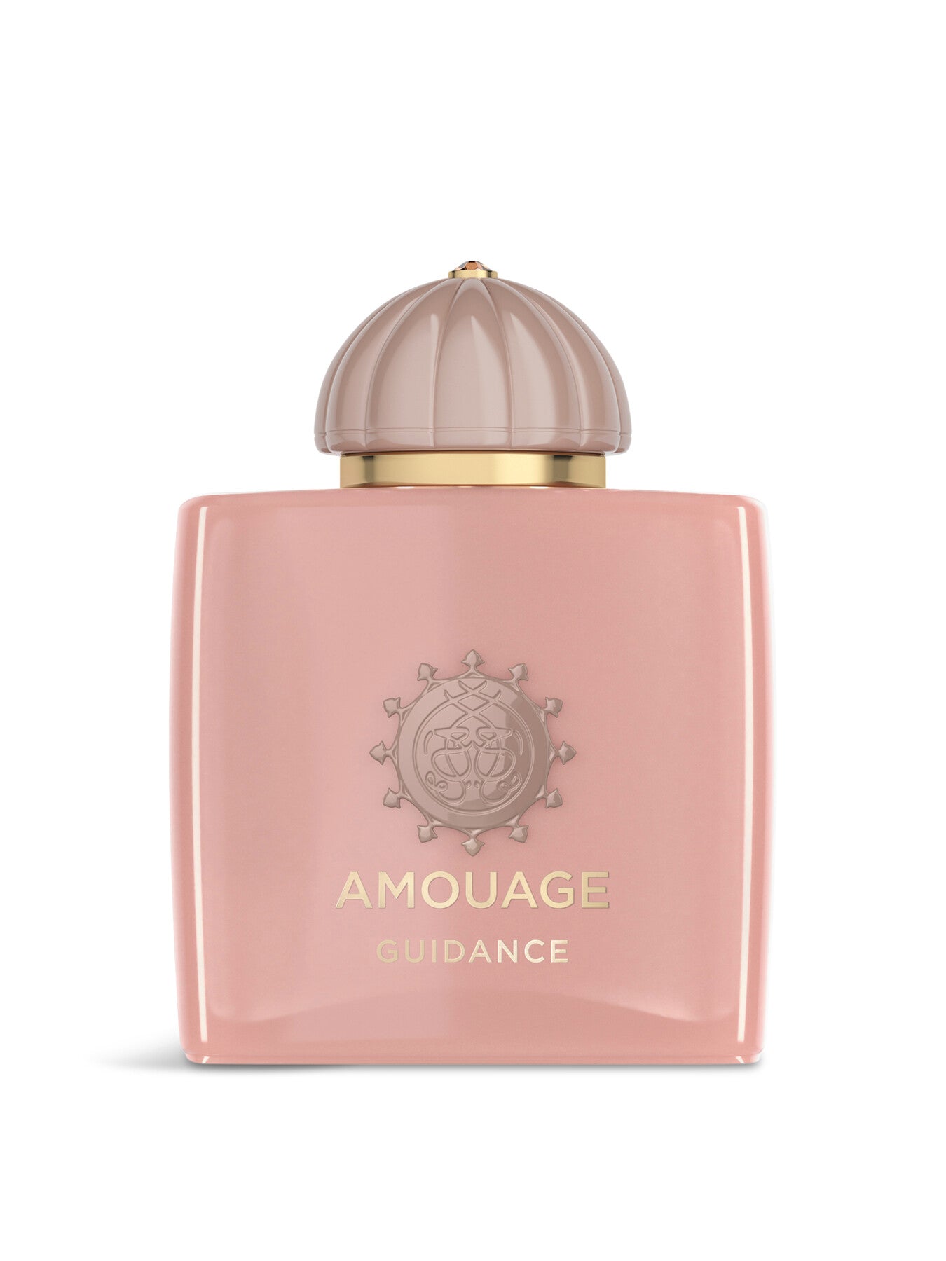 Amouage Guidance